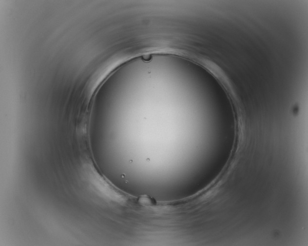 X0000114141244200910151601