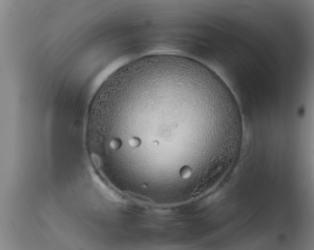 X0000114141245200910151601