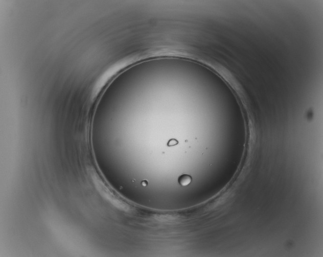 X0000114141246200910151601