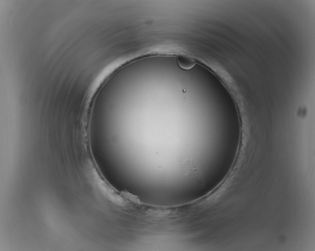 X0000114141248200910151602