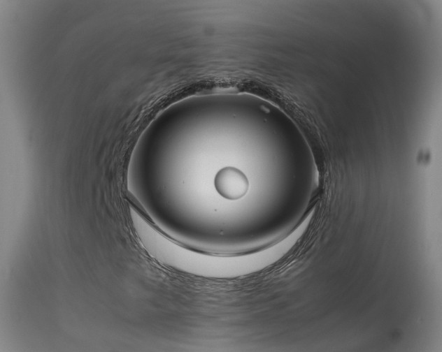 X0000114141249200910151601