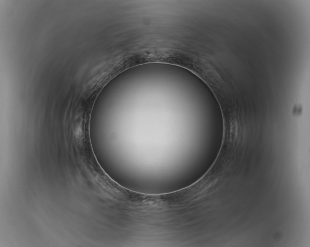 X0000114141250200910151601