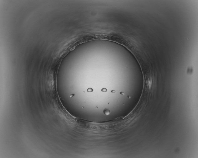 X0000114141252200910151601