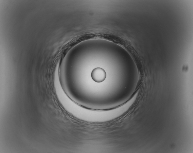 X0000114141253200910151601