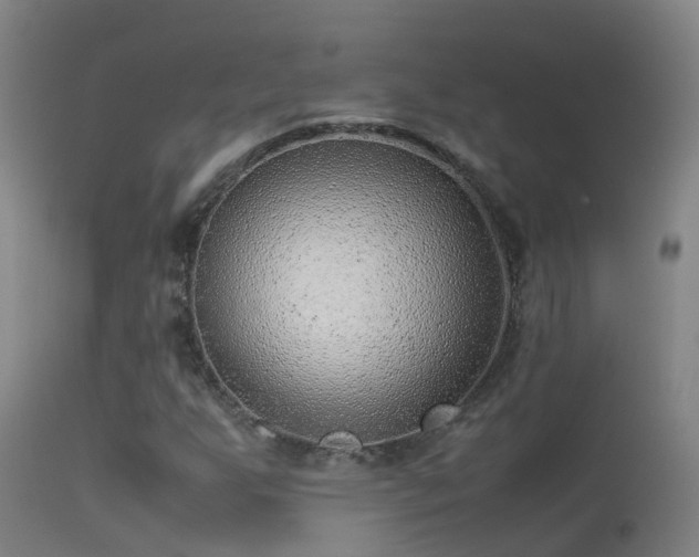 X0000114141255200910151600