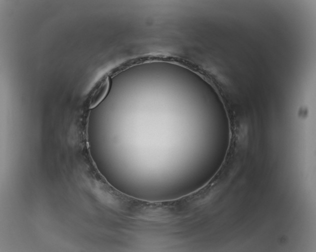 X0000114141256200910151600