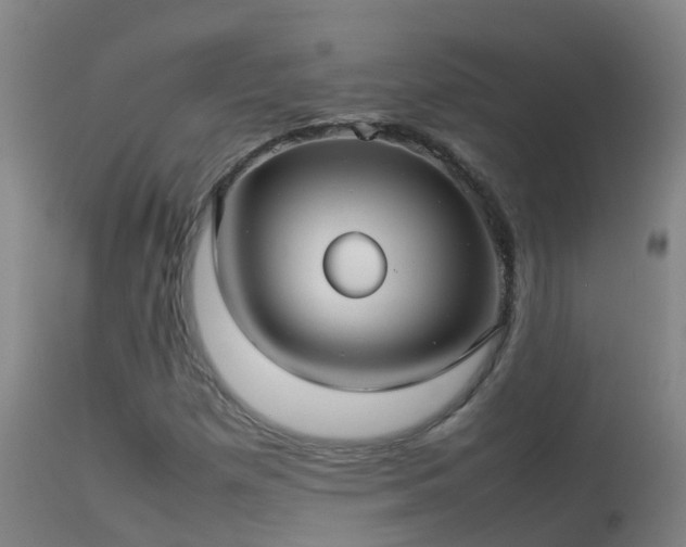 X0000114141257200910151600