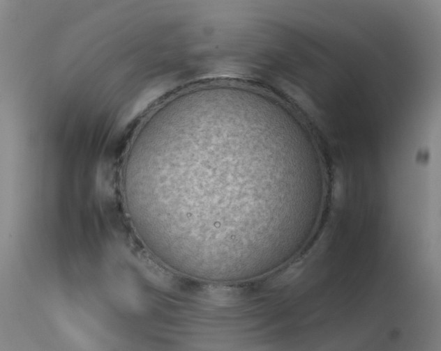 X0000114141258200910151600