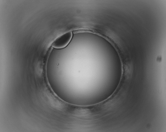 X0000114141260200910151600