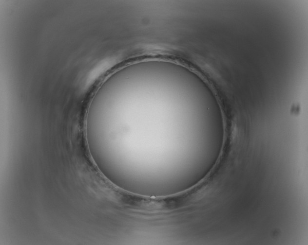 X0000114141261200910151600