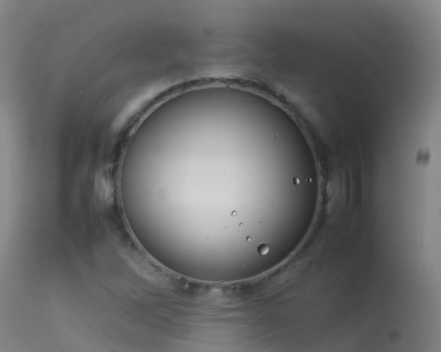 X0000114141262200910151600