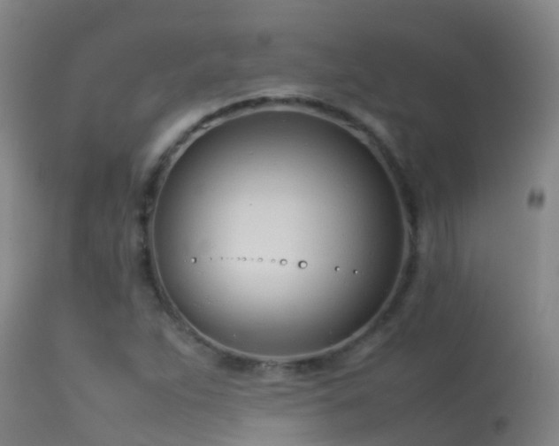 X0000114141263200910151600