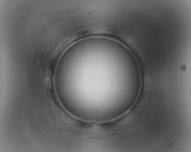 X0000114141265200910151600