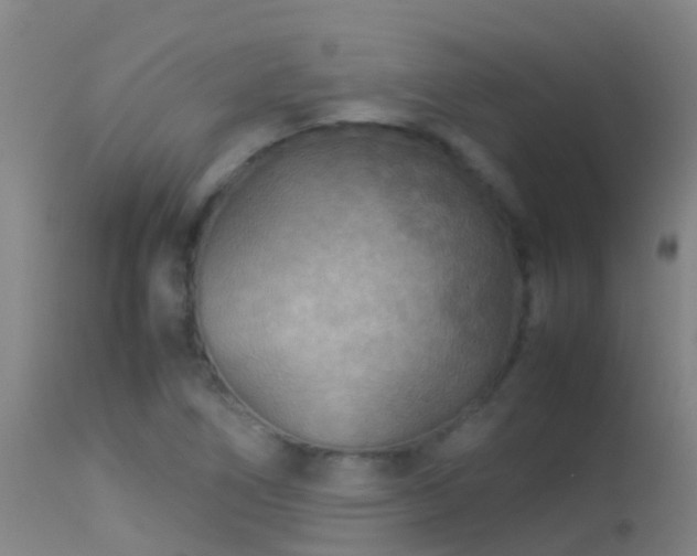 X0000114141266200910151600