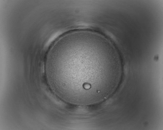 X0000114141267200910151600