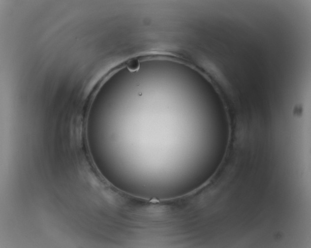 X0000114141268200910151600