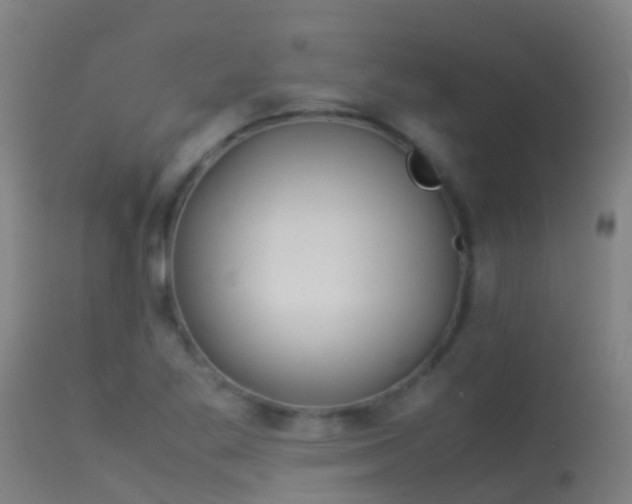 X0000114141269200910151600