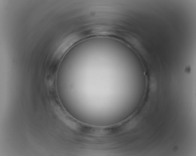 X0000114141273200910151600