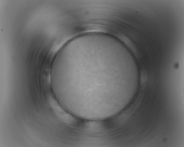 X0000114141274200910151600