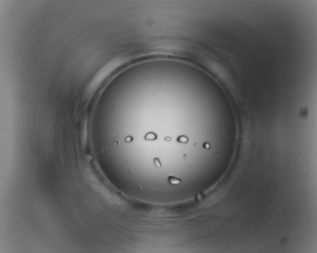 X0000114141275200910151600