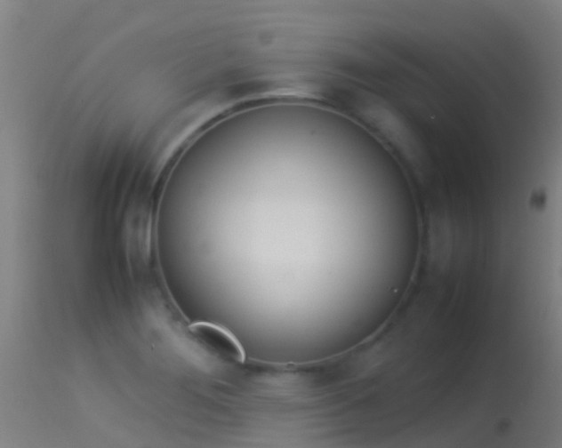 X0000114141276200910151600