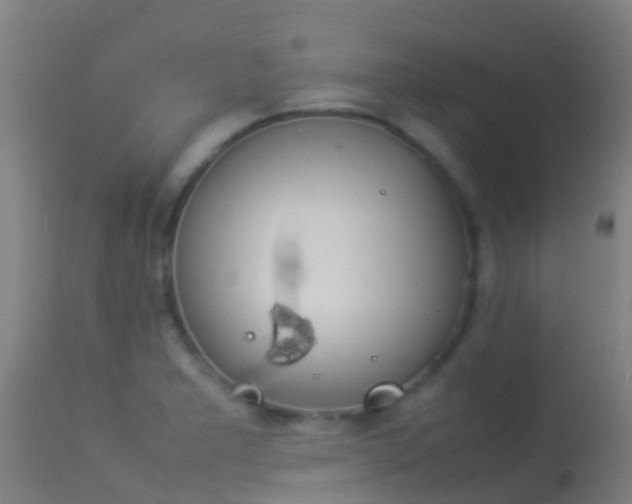 X0000114141277200910151600