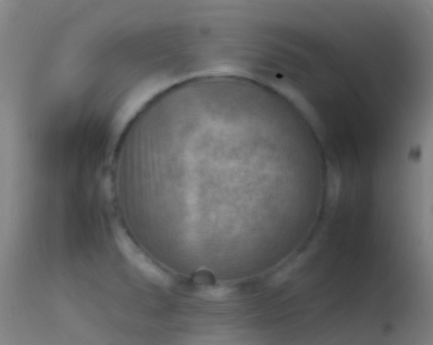 X0000114141278200910151600