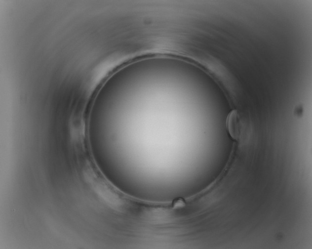 X0000114141280200910151600