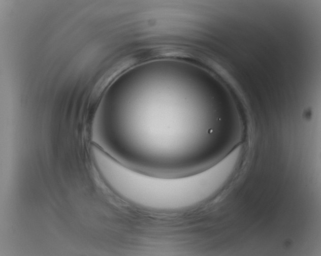 X0000114141281200910151600