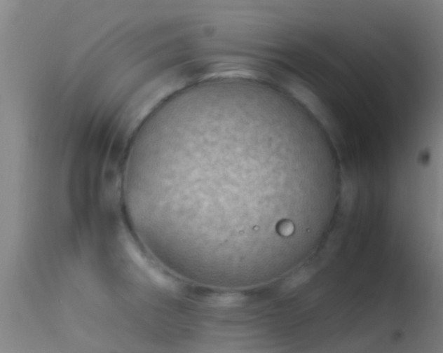 X0000114141282200910151600