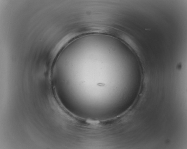 X0000114141283200910151600