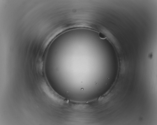 X0000114141284200910151600