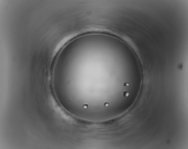 X0000114141287200910151600