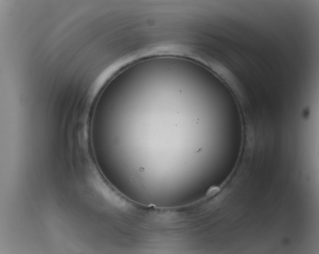 X0000114141288200910151600