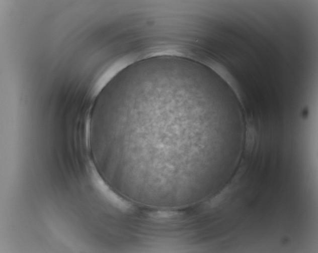 X0000114141290200910151600