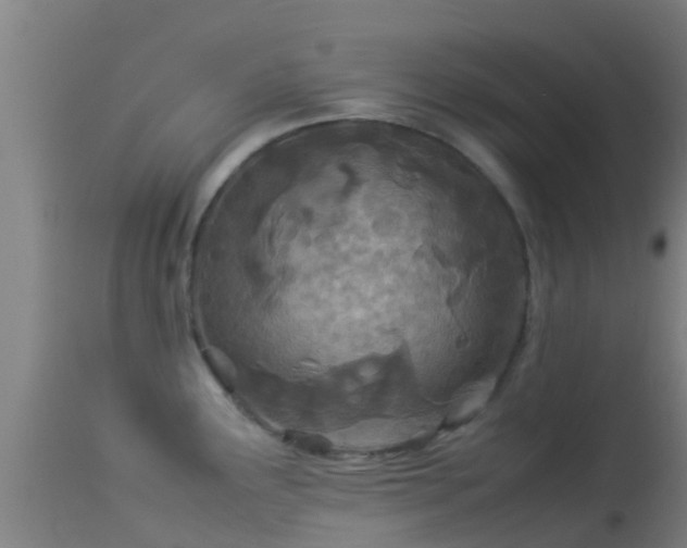 X0000114141291200910151600