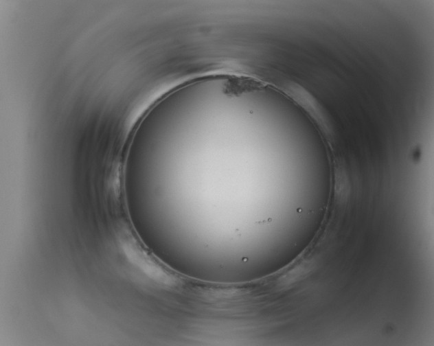 X0000114141292200910151600