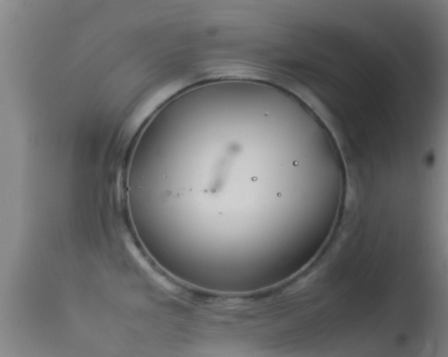 X0000114141293200910151600