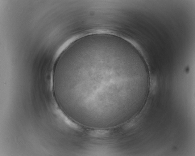 X0000114141294200910151600