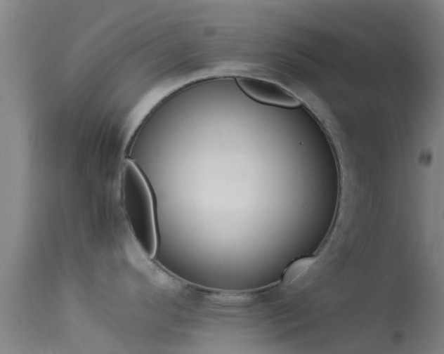 X0000114141296200910151600