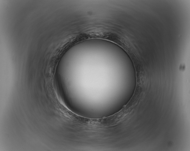 X0000114141297200910151559