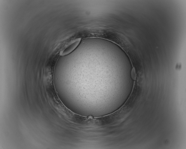 X0000114141298200910151559