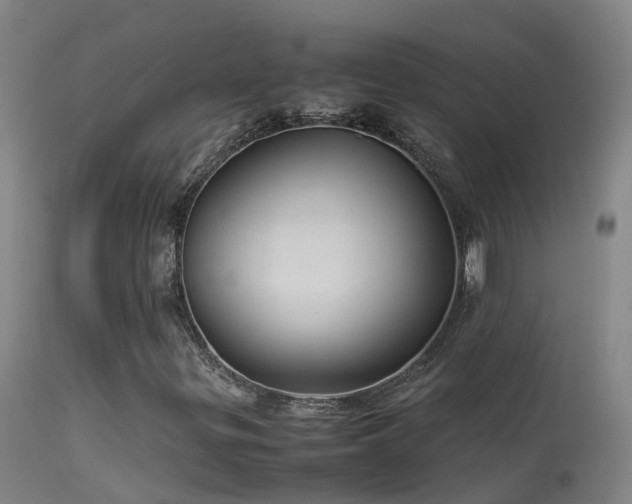 X0000114141299200910151559