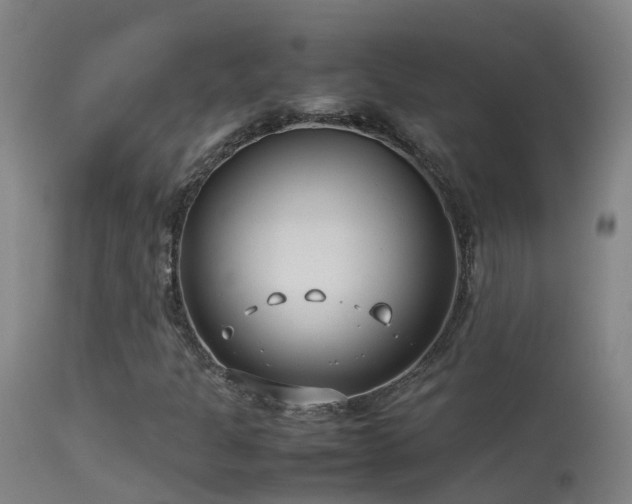 X0000114141301200910151559