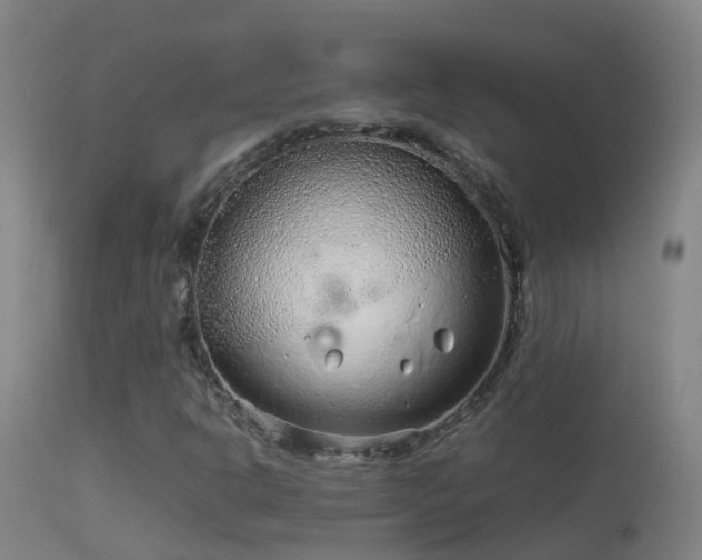 X0000114141302200910151559