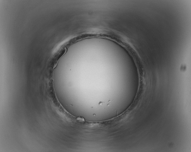 X0000114141304200910151559