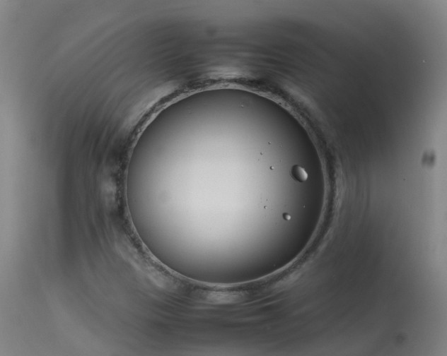 X0000114141305200910151559