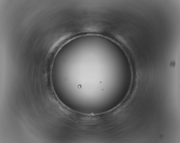 X0000114141307200910151559