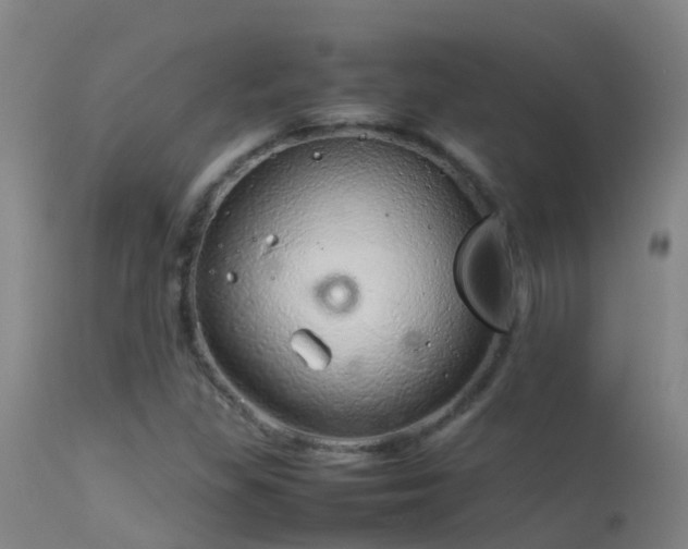 X0000114141309200910151559