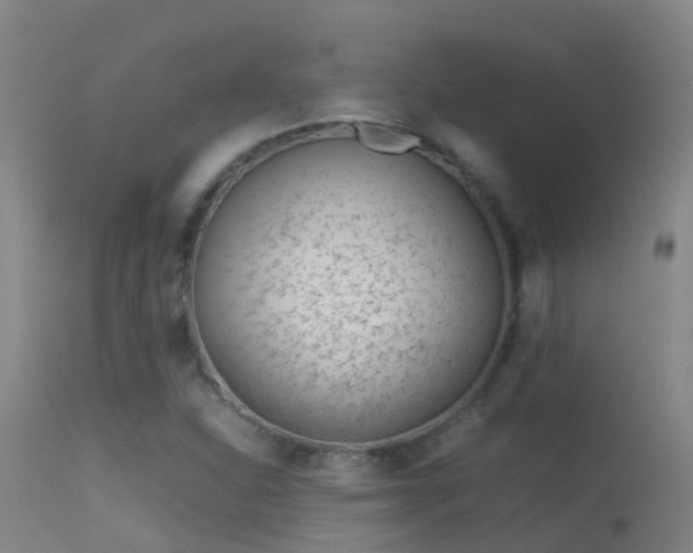 X0000114141310200910151559